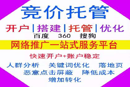 案例研究：百度推广托管助力电商品牌快速崛起